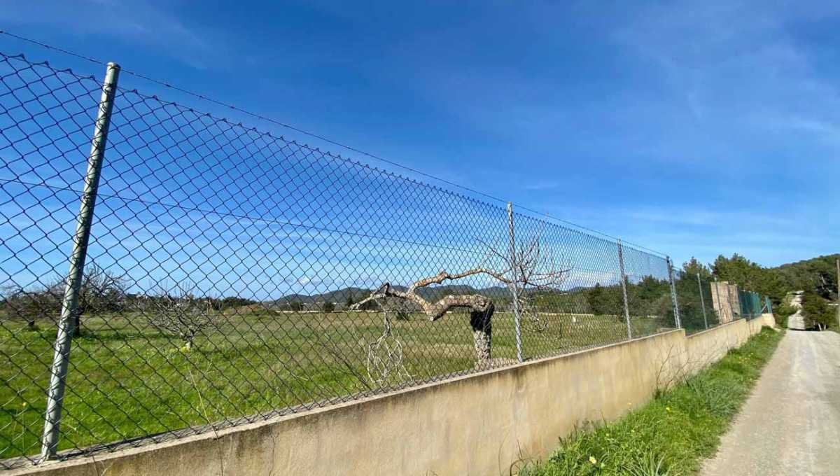 Parcela de terreno en San Rafael