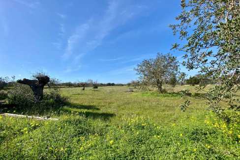 Parcela de terreno en San Rafael