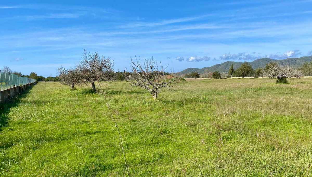 Parcela de terreno en San Rafael