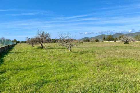 Parcela de terreno en San Rafael