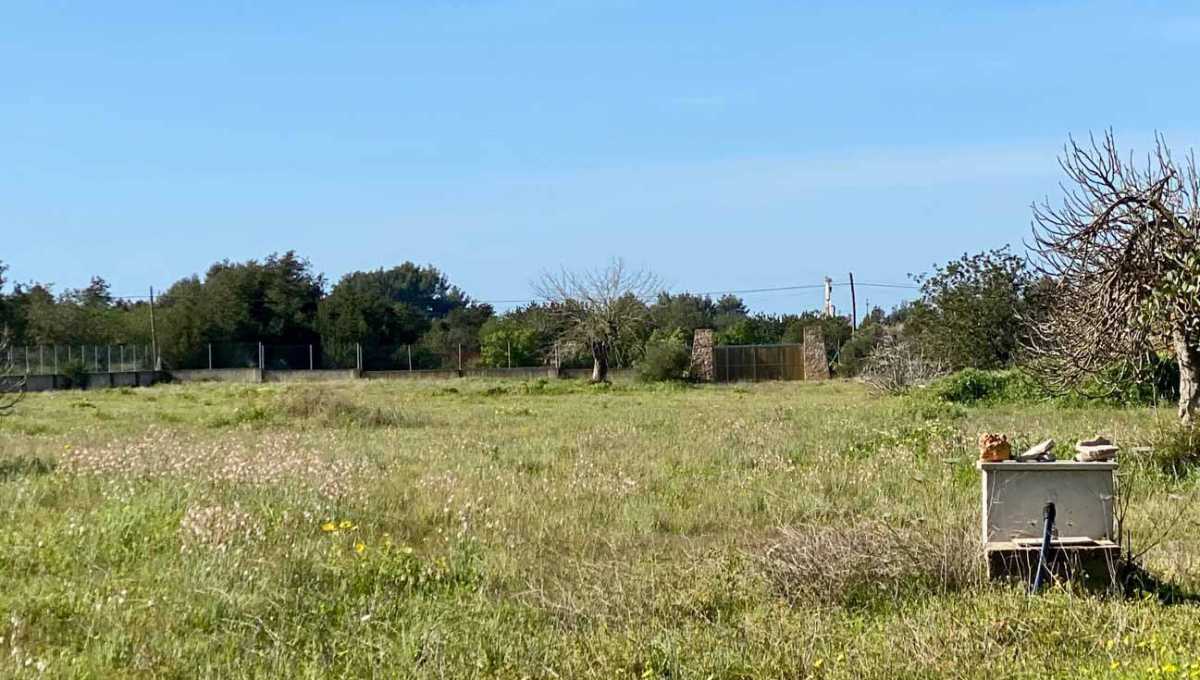 Parcela de terreno en San Rafael