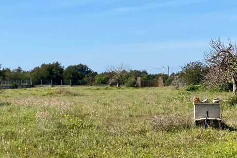 Parcela de terreno en San Rafael